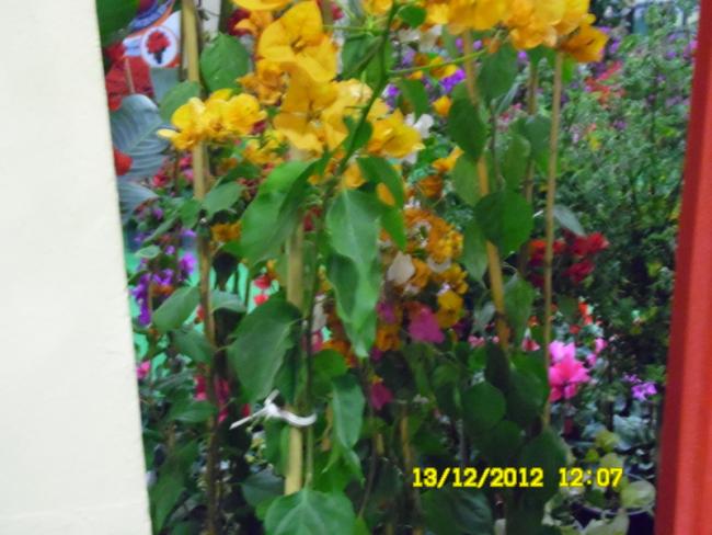 Name:  068.jpg
Views: 455
Size:  47.6 KB
