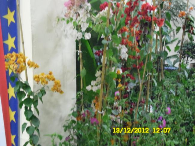 Name:  069.jpg
Views: 453
Size:  55.0 KB