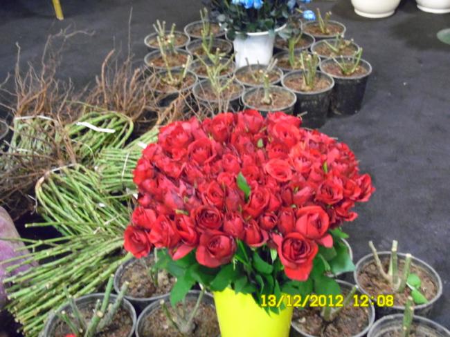 Name:  073.jpg
Views: 449
Size:  60.7 KB