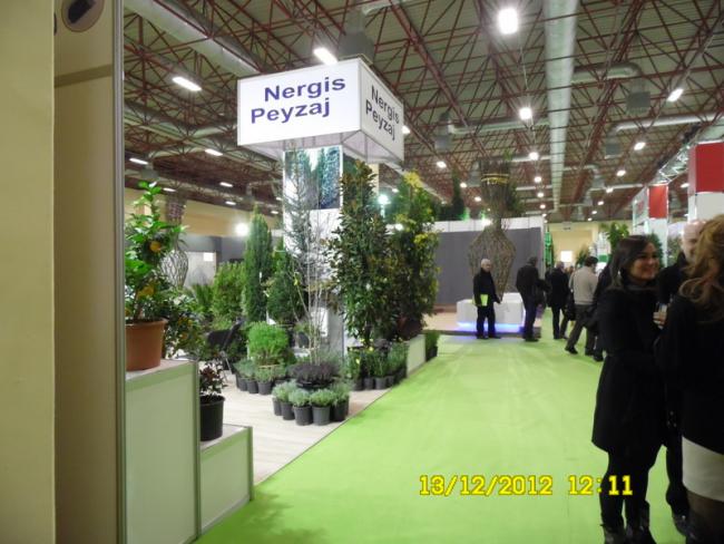 Name:  077.jpg
Views: 820
Size:  51.5 KB