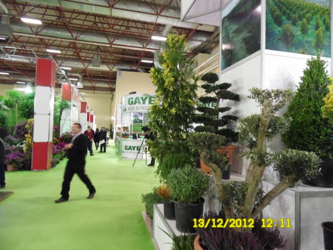 Name:  078.jpg
Views: 817
Size:  61.9 KB