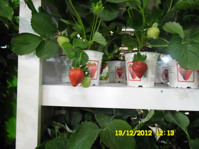 Name:  084.jpg
Views: 752
Size:  44.4 KB