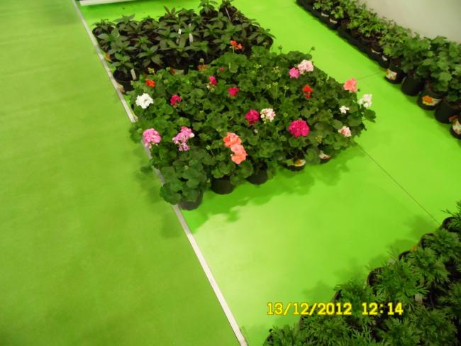 Name:  087.jpg
Views: 808
Size:  42.4 KB