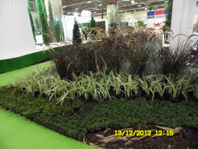 Name:  089.jpg
Views: 426
Size:  64.0 KB