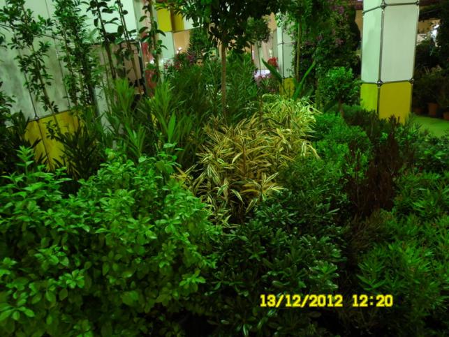 Name:  099.jpg
Views: 454
Size:  70.4 KB
