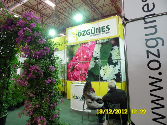 Name:  105.jpg
Views: 797
Size:  62.2 KB