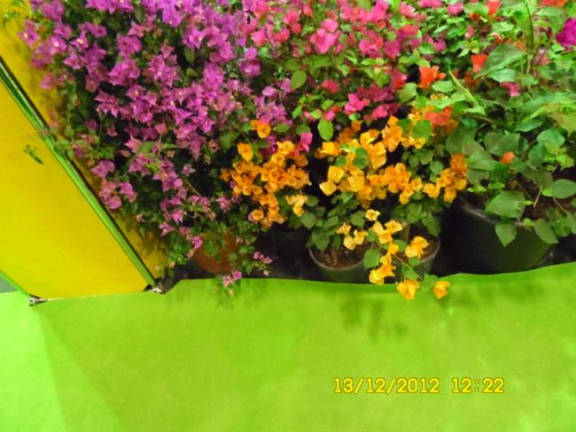Name:  106.jpg
Views: 804
Size:  55.5 KB