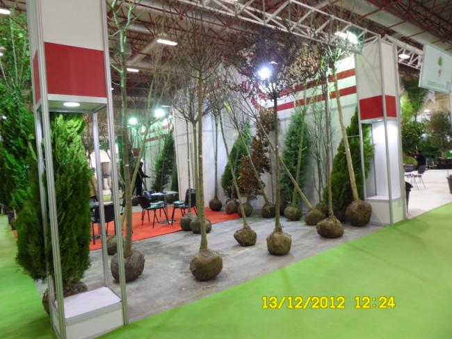 Name:  108.jpg
Views: 762
Size:  57.6 KB