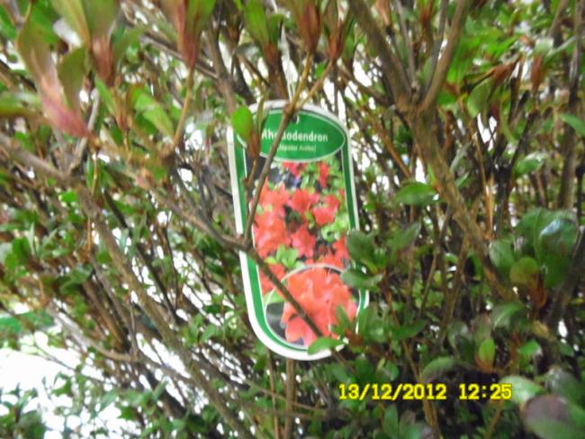 Name:  109.jpg
Views: 728
Size:  65.5 KB