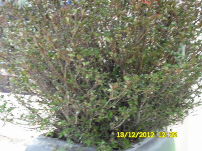 Name:  111.jpg
Views: 809
Size:  64.7 KB