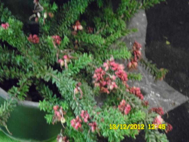 Name:  130.jpg
Views: 443
Size:  48.0 KB