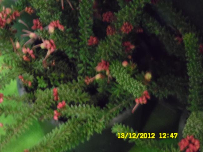 Name:  132.jpg
Views: 792
Size:  38.6 KB
