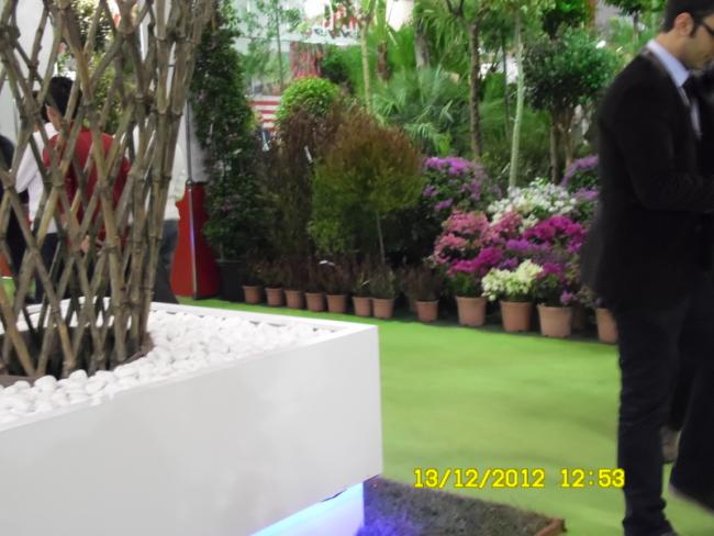 Name:  135.jpg
Views: 706
Size:  43.8 KB