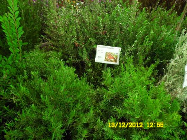 Name:  140.jpg
Views: 824
Size:  71.7 KB