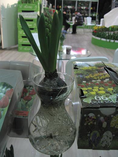 Name:  IMG4_8988.JPG
Views: 304
Size:  49.1 KB