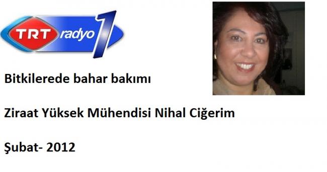 Name:  Radyo1.jpg
Views: 784
Size:  23.0 KB