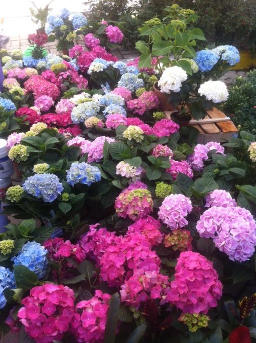 Name:  fotoraf(55).jpg
Views: 465
Size:  76.7 KB