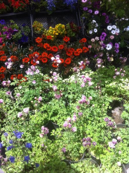 Name:  fotoraf(57).jpg
Views: 428
Size:  79.3 KB