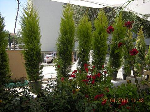 Name:  DSCN6599.jpg
Views: 463
Size:  43.4 KB