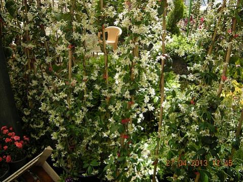 Name:  DSCN6615.jpg
Views: 428
Size:  59.3 KB