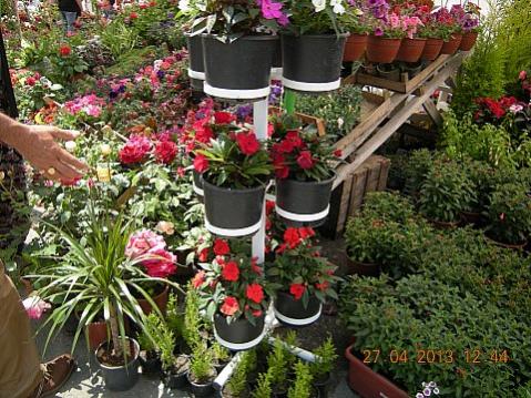 Name:  DSCN6614.jpg
Views: 462
Size:  55.8 KB