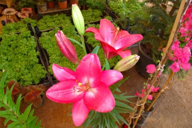 Name:  resim (7).jpg
Views: 873
Size:  52.1 KB