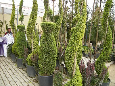 Name:  DSCN7487.jpg
Views: 423
Size:  62.3 KB