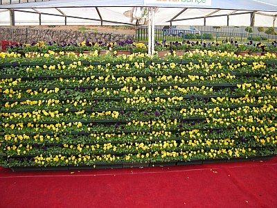 Name:  DSCN7491.jpg
Views: 377
Size:  63.0 KB