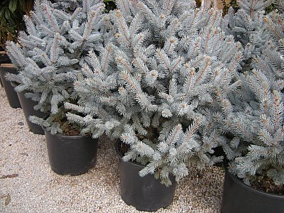 Name:  DSCN7492.jpg
Views: 379
Size:  57.7 KB