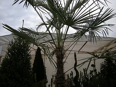Name:  DSCN7500.jpg
Views: 376
Size:  48.4 KB
