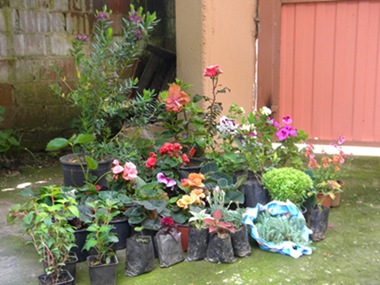 Name:  DSCN9620.JPG
Views: 471
Size:  68.9 KB