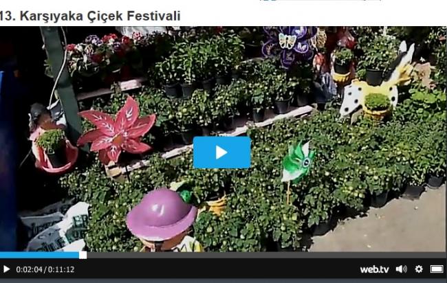 Name:  VDEO.jpg
Views: 1328
Size:  66.2 KB