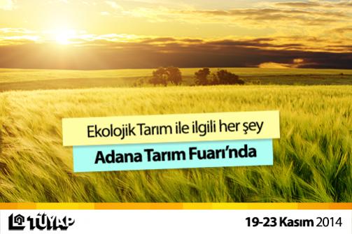 Name:  atf_010.jpg
Views: 479
Size:  32.3 KB