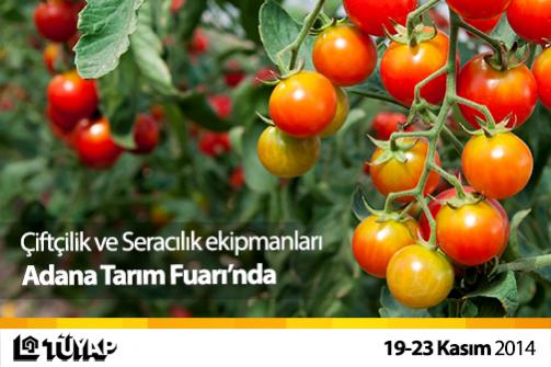 Name:  atf_009.jpg
Views: 504
Size:  34.3 KB