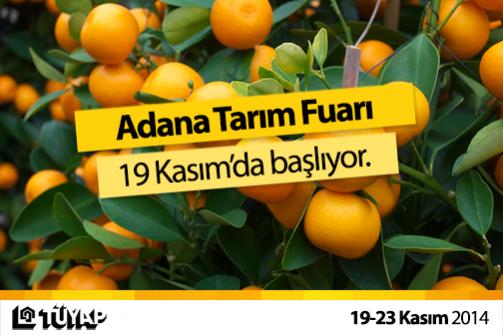 Name:  atf_003.jpg
Views: 467
Size:  33.4 KB