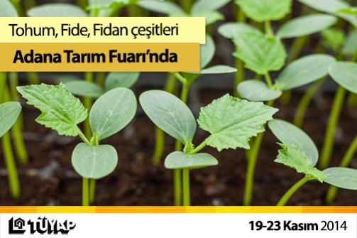 Name:  atf_008.jpg
Views: 501
Size:  31.5 KB