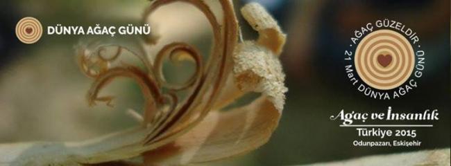 Name:  aa.jpg
Views: 210
Size:  20.5 KB