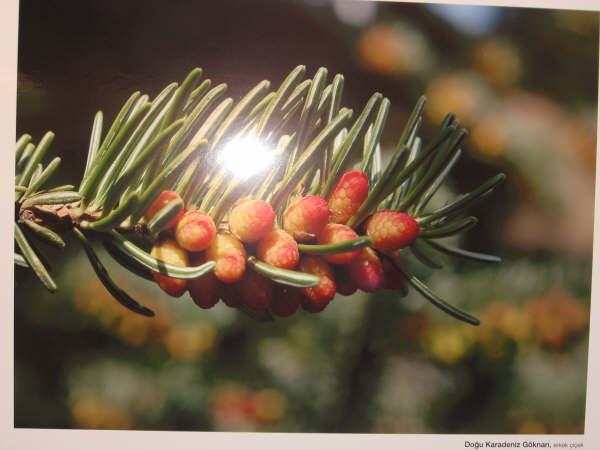Name:  02.jpg
Views: 474
Size:  32.7 KB