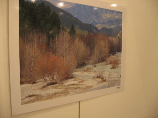 Name:  10.jpg
Views: 421
Size:  19.9 KB