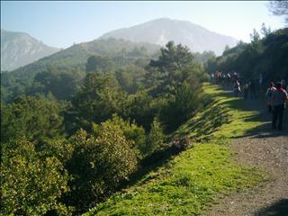 Name:  DSCI0034_RESIZED_TO_320x240.jpg
Views: 489
Size:  21.3 KB