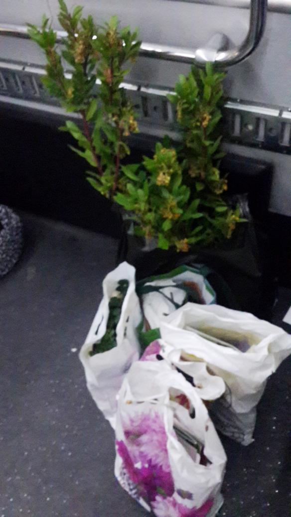Name:  20151129_180750.jpg
Views: 628
Size:  70.9 KB