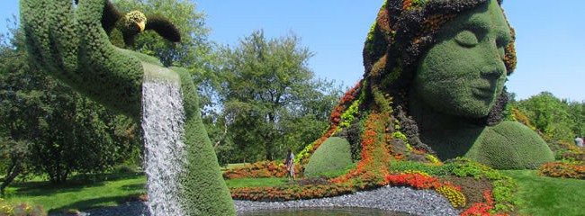 Name:  bitki-heykel-650x240.jpg
Views: 2874
Size:  63.9 KB
