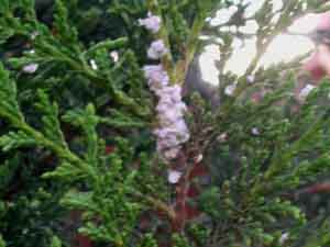 Name:  01.07 001.JPG
Views: 2419
Size:  50.0 KB
