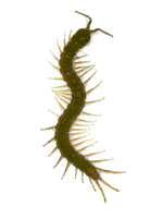 Name:  ciyan.gif
Views: 27453
Size:  7.4 KB