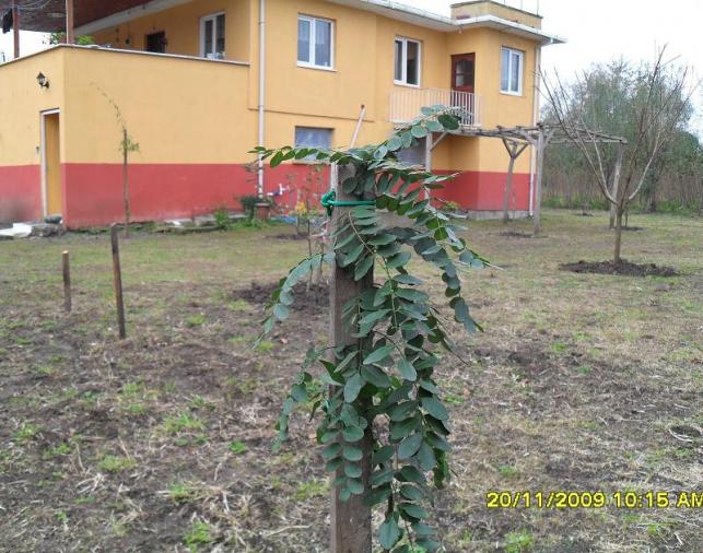 Name:  resimlerim 997.jpg
Views: 6425
Size:  71.1 KB
