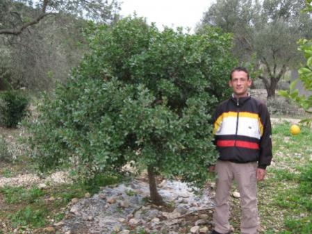 Name:  Resim 022 (450 x 338).jpg
Views: 2182
Size:  36.3 KB