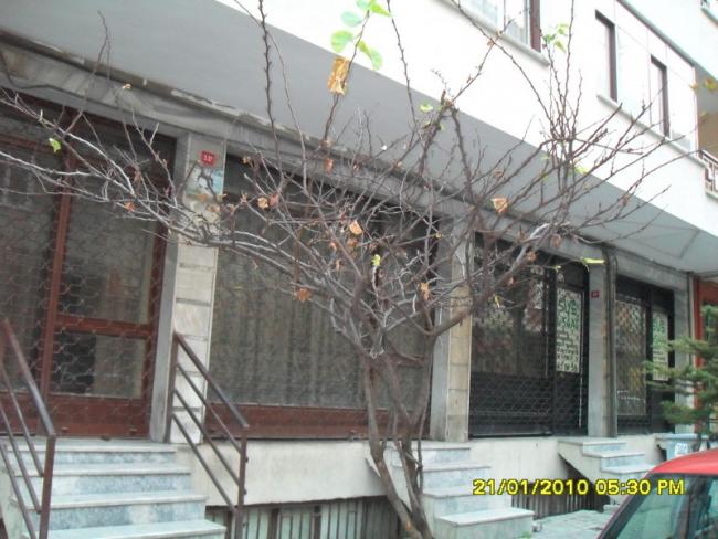 Name:  SDC11478.jpg
Views: 2479
Size:  54.8 KB