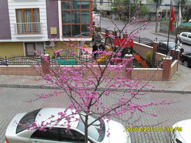 Name:  001.jpg
Views: 1615
Size:  71.2 KB