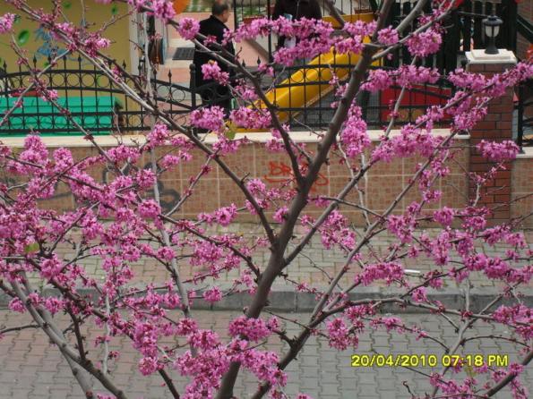 Name:  002.jpg
Views: 1660
Size:  72.6 KB