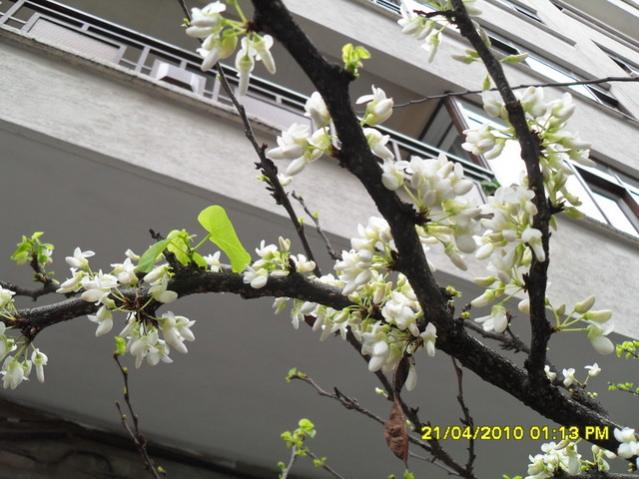 Name:  002.jpg
Views: 1649
Size:  53.1 KB